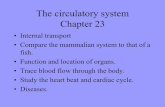 The circulatory system Chapter 23faculty.uncfsu.edu/ssalek/biol130/circulation.pdf · The circulatory system Chapter 23 • Internal transport ... A trip through the cardiovascular