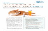 Peer revieweD Feline Acute Pain Series Acute PAin in …todaysveterinarypractice.navc.com/wp-content/uploads/2016/06/T1405...Altered processing at the level of the ... which gives