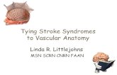 Tying Stroke Syndromes to Vascular Anatomy - Sutter · PDF fileWhy is the anatomy important ... become anterior cerebral circulation , ... –Oculomotor palsy –Collateral flow when