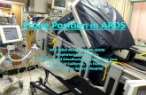 Prone Position in ARDS - Critical Care Canada Position in ARDS Rich Kallet MS RRT FAARC, FCCM Respiratory Care Services Department of Anesthesia & Perioperative Care University of