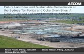 Future Land Use and Sustainable Remediation at the Sydney ... · PDF fileFuture Land Use and Sustainable Remediation at the Sydney Tar Ponds and Coke Oven Sites: A Case Study and Lessons