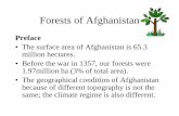Forests of Afghanistan - CropWatch of Afghanistan.pdf · Forests of Afghanistan Preface ... starts in late autumn and continues to May/June. It ... This scrub forest does not reach