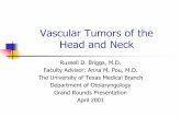 Vascular Tumors of the Head and Neck - utmb.edu · PDF fileVascular Tumors of the Head and Neck Russell D. Briggs, M.D. Faculty Advisor: Anna M. Pou, M.D. The University of Texas Medical