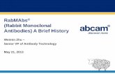 RabMAbs (Rabbit Monoclonal Antibodies) A Brief Historydocs.abcam.com/pdf/rabmab/RabMAb-a-brief-history.pdf · (Rabbit Monoclonal Antibodies) A Brief History ... RabMAb® Technology