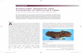 Endoscopic Diagnosis and Treatment of Stercoral · PDF fileEndoscopic Diagnosis and Treatment of Stercoral Colitis by Seth A. Cohen, ... A gastrograffin enema demonstrated complete