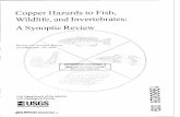 Copper Hazards to Fish, Wildlife, and Invertebrates: A ... · PDF fileCopper Hazards to Fish, Wildlife, and Invertebrates: A Synoptic Review Biological Science Report USGS/BRD/BSR-199