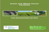 Grass and White Clover Varieties - Agriculture · PDF fileGrass and White Clover Varieties ... Hybrid and Early Perennial Ryegrass Varieties ... determined by examination of individual