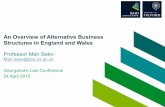 An Overview of Alternative Business Structures in England ... · PDF fileAn Overview of Alternative Business Structures in England and Wales ... Palamon Capital Partners acquires a