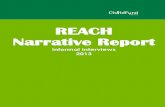 REACH Narrative Report - · PDF fileREACH Narrative Report Informal Interviews ... Introduction This paper presents findings from informal interviews conducted with village cadre and