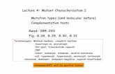 Lecture 4: Mutant Characterization I Mutation types (and ... · PDF file•Mutations in a gene’s coding sequence can alter the gene product. –Missense mutations replace one amino