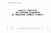 SAFETY ASPECTS OF STATION BLACKOUT AT NUCLEAR POWER · PDF fileOF STATION BLACKOUT AT NUCLEAR POWER PLANTS ... meeting on the Safety Aspects of Station Blackout at Nuclear Power Plants.