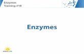Enzymes - Renew Life · PDF file• Enzymes function in different pH’s throughout ... The food combining way of eating is based on the theory that different food ... process of fermentation