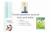 Tendinopathies around foot and ankle - im2s.mc - Tendinopathies around foot and... · TA, TP, HV, HR, Freiberg ... Surgery Shoe wear modif Tenoscopy Open surg ... + tenodesis, - graft