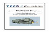 Instructions For Three Phase Induction · PDF fileInstructions For Three Phase Induction Motors ... For the TECO motor warranty to be and to remain in ... operating conditions given