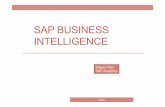 SAP BUSINESS INTELLIGENCE Overview06ccdf9c...Rajeev Rajeev Nair SAP Analytics . SAP R/3 Rajeev R/3 Client / Server ABAP/4 ECC 6.0 FI Financial Accounting CO Controlling AM Fixed Assets