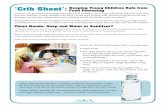 ‘Crib Sheet’: Food Poisoning Keeping Young Children Safe ... · PDF fileAnyone can get food poisoning, ... with feces play a significant role in the spread of many bacteria and