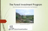 The Forest Investment Program (FIP) - Global Forest …globalforestcoalition.org/.../2016/04/Forest-Investment-Program.pdf · The Forest Investment Program ... The Climate Investment