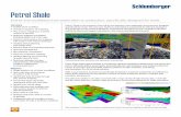 Petrel Reservoir Geomechanics - Schlumberger Software · PDF fileGeosteering combines the real-time well data that can be streamed into a project with well data from an offset well