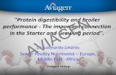 Protein digestibility and broiler performance - The ... · PDF fileachieving effective and efficient broiler ... –Management and Nutrition need to keep on pace with the Genetic progress