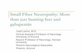 Small Fiber Neuropathy: More than just burning feet and ... fiber grand rounds.pdf · Small Fiber Neuropathy: More than just burning feet and gabapentin Todd Levine, M.D. ... Immune