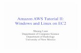 Amazon AWS Tutorial II: Windows and Linux on EC2compmed/workshop2011/talks/17b.pdf · Amazon AWS Tutorial II: Windows and Linux on EC2 Shuang Luan Department of Computer Science Department