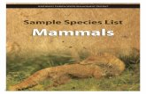 mammals - cover · PDF fileMammals Birds Wildflowers Reptiles Insects Natural Communities Frogs & Toads Trees & Shrubs Butterflies. Southwest Florida Water Management District Virginia