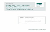 Whitepaper: Agile Big Data: Efficient Quality … Functional and Non- functional Characteristics ... DWH testing. Since 2015, he has ... Efficient Quality Management of Functional