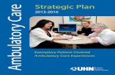 Strategic Plan Ambulatory Care - University Health · PDF fileStrategic Plan Ambulatory Care- ... develop a plan for the next three years (2013 to 2016) ... 10. ocular/eye 11. Sarcoma
