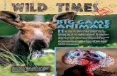 VOL. 7, issue 1 - New Hampshire Fish and Game · PDF fileave you ever seen a deer bounding across the road or a flock of wild turkeys run into the woods? Deer, bear, moose and turkeys