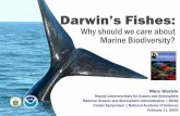 Darwin’s Fishes - National-Academies.orgsites.nationalacademies.org/cs/groups/pgasite/documents/webpage/... · Darwin’s Fishes: Why should we care ... Most species yet to be discovered