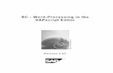 BC - Word-Processing in the SAPscript Editorpavelgk.pbworks.com/f/BCSRVSCREDIT.pdf · SAP AG BC - Word-Processing in the SAPscript Editor Icons Icon Meaning Caution Example Note Recommendation