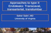 Approaches to type II Endoleaks: Transcaval, … to type II Endoleaks: Transcaval, transarterial, translumbar Saher Sabri ,MD University of Virginia