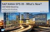 SAP HANA SPS 09 - What’s New? - dbmanagement.infodbmanagement.info/Books/MIX/saphanasps09-hana... · SAP HANA SPS 09 – What’s New in SAP HANA Modeling Overview ... SAP HANA