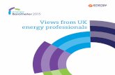 Views from UK energy professionals (2015) - Energy · PDF fileViews from UK energy professionals . 2 Energy Barometer 2015 ... strain on the oil and gas sector due to the low oil price