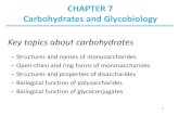 CHAPTER 7 Carbohydrates and Glycobiology - KOCWcontents.kocw.net/KOCW/document/2015/gachon/nammyeongjin2/8.pdf · CHAPTER 7 Carbohydrates and Glycobiology ... (Fehling’s test) ...
