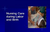 Nursing Care during Labor and Birth - Ukiah Adult Schoolukiahadultschool.net/.../nursing_care_during_labor_and_birth.pdf · Nursing Care during Labor and Birth. 2 ... Determine if