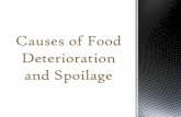 Causes of Food Deterioration and Spoilage - Miss Jajo's …of+Fo… ·  · 2013-02-22Causes of Food Deterioration and Spoilage . What causes Food to go off? Microbial Activity 1.Bacteria: