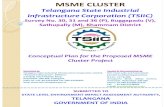 MSME CLUSTER - environmentclearance.nic.inenvironmentclearance.nic.in/writereaddata/FormB/TOR/PFR/28_Nov...Conceptual Plan for the Proposed MSME Cluster Project MSME CLUSTER Telangana