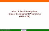 Micro & Small Enterprises Cluster Development … Development Export Promotion.pdfMicro & Small Enterprises Cluster Development Programme ... Detailed Project Report ... (MSME) Project