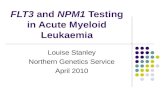 FLT3 and NPM1 Testing in Acute Myeloid Leukaemia (AML) · PPT file · Web view · 2014-12-09FLT3 and NPM1 Testing in Acute Myeloid Leukaemia Louise Stanley Northern Genetics Service