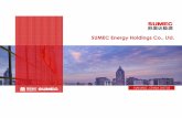 SUMEC Energy Holdings Co., Ltd. - University of New South ... · PDF fileMetal Assisted Chemical Etching (MACE) Schematic of Nano-textured silicon processing steps. Ag-assisted etching