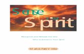 Sense Your Spirit - · PDF filehow you can sense your spirit, so you can learn to live comfortably “spirit-conscious” rather than simply “mind-conscious.” Th en we will build