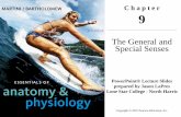 The General and Special Senses - Napa Valley · PDF fileThe General and Special Senses PowerPoint® Lecture Slides ... –The arriving information from these senses •Perception –Conscious