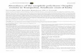 Abundance of the onuphids polychaete Onuphis eremita in · PDF file · 2012-07-15Abundance of the onuphids polychaete Onuphis eremita in Tranquebar, ... near the mouth of distributaries