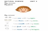 SOCIAL SCIENCE UNIT 2 MY SENSES · PDF file · 2016-11-18NATURAL SCIENCE UNIT 2 My senses My face My senses I can see with my eyes. ... Microsoft Word - SOCIAL SCIENCE UNIT 2 MY SENSES.docx