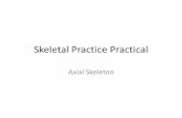 Skeletal Practice Practical - Phoenix College pages 11/Axial Skeletal... · Skeletal Practice Practical Axial Skeleton. Station 1 A C B 1. Joint A 2. ... bones are black in lab) 4.
