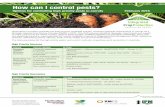 How can I control pests? -  · PDF fileHow can I control pests? ... nematicides • None Non-chemical options • Rotate crops • For further information refer to
