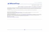 WELCOME TO THE BLUEPAY PAYMENT GATEWAY TO THE BLUEPAY PAYMENT GATEWAY ... emailed to the email address on file for that username. ... Account Zip =