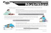 A lesson from the Native Access to Engineering · PDF fileNutrition 1 The importance of ... A lesson from the Native Access to Engineering Programme Worksheet 23 ... Complex carbs