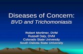 Diseases of Concern - ap · PDF fileDiseases of Concern: ... season, time of pregnancy diagnosis ... – Age related. Organism • Protozoa – Trichomonas foetus • Transmission